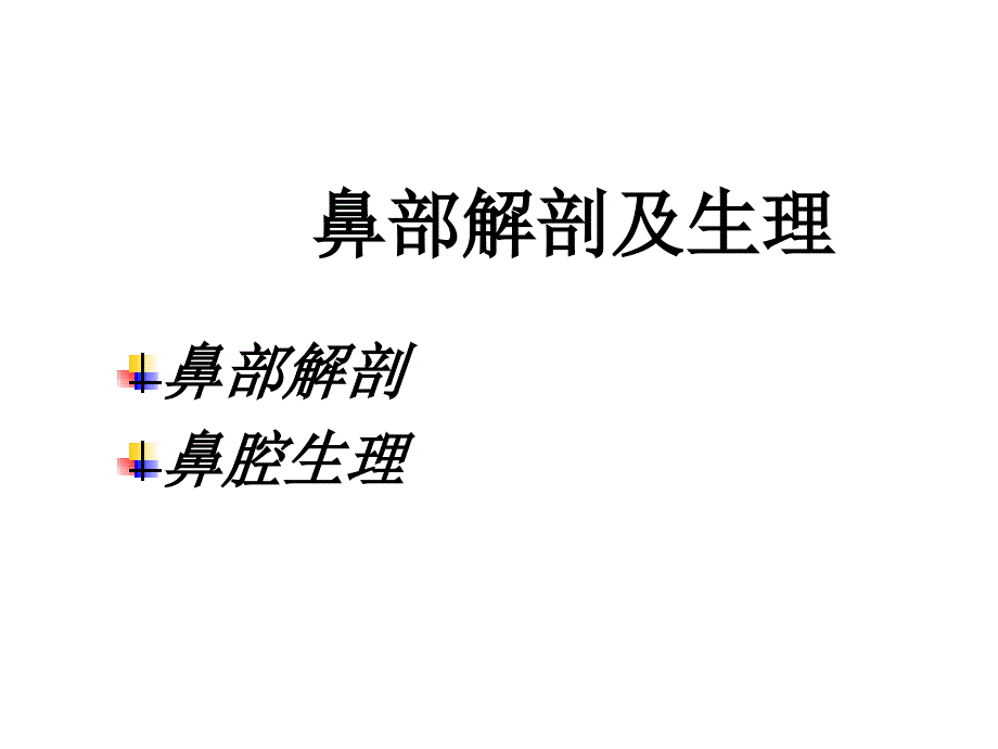 鼻部解剖1.ppt_第4页