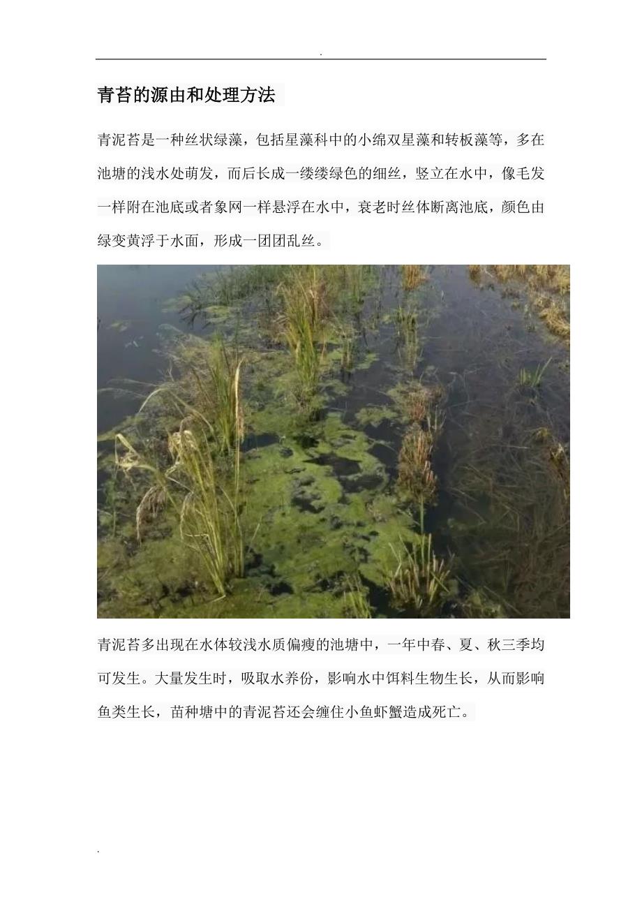青苔的源由和处理方法_第1页