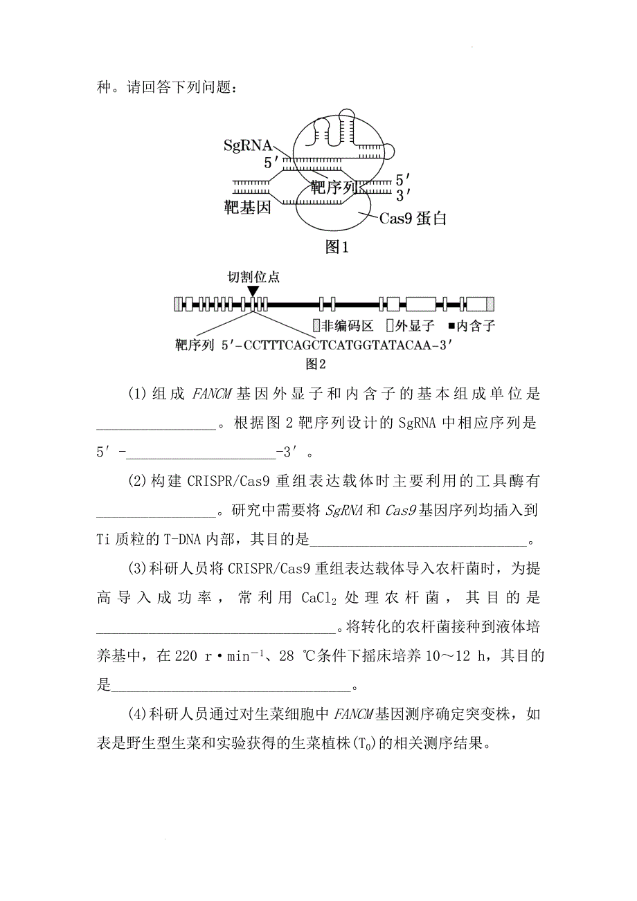 备课素材：高二生物学期末复习对点训练：基因编辑技术 高二下学期生物人教版选择性必修3.docx_第4页