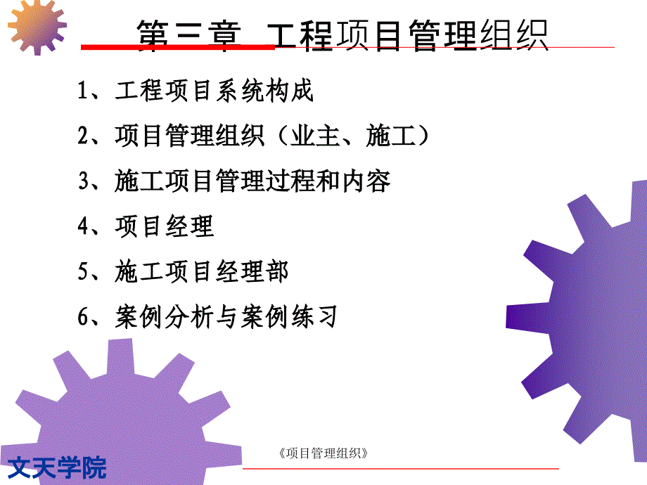 项目管理组织课件_第2页