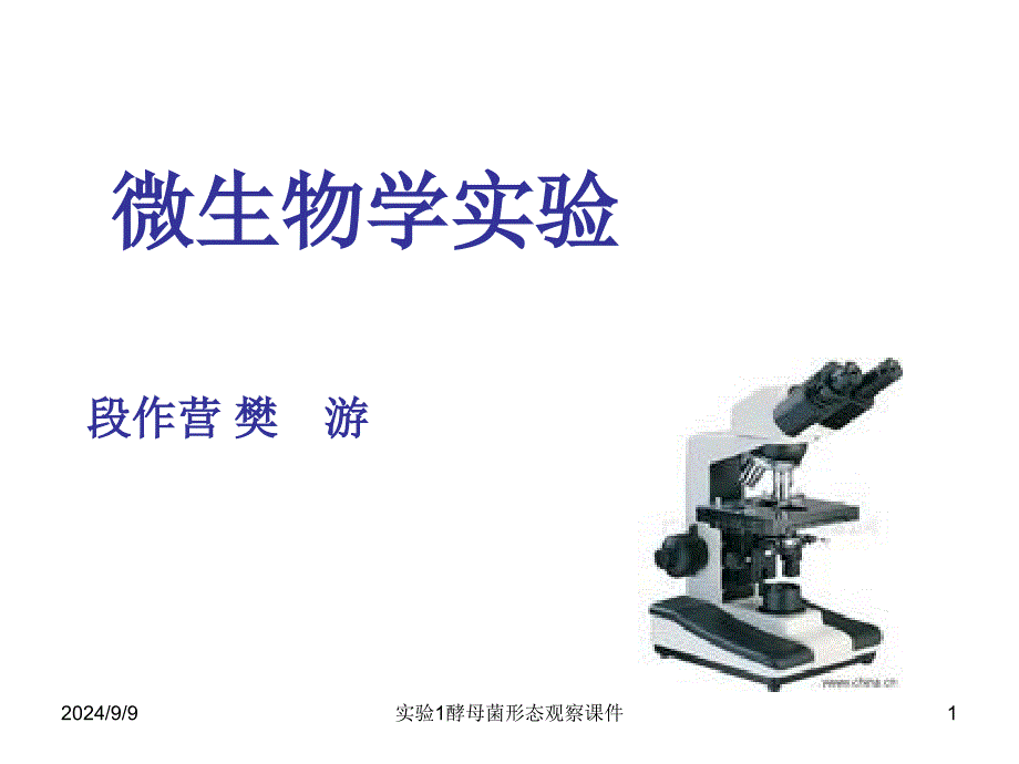 实验1酵母菌形态观察课件_第1页