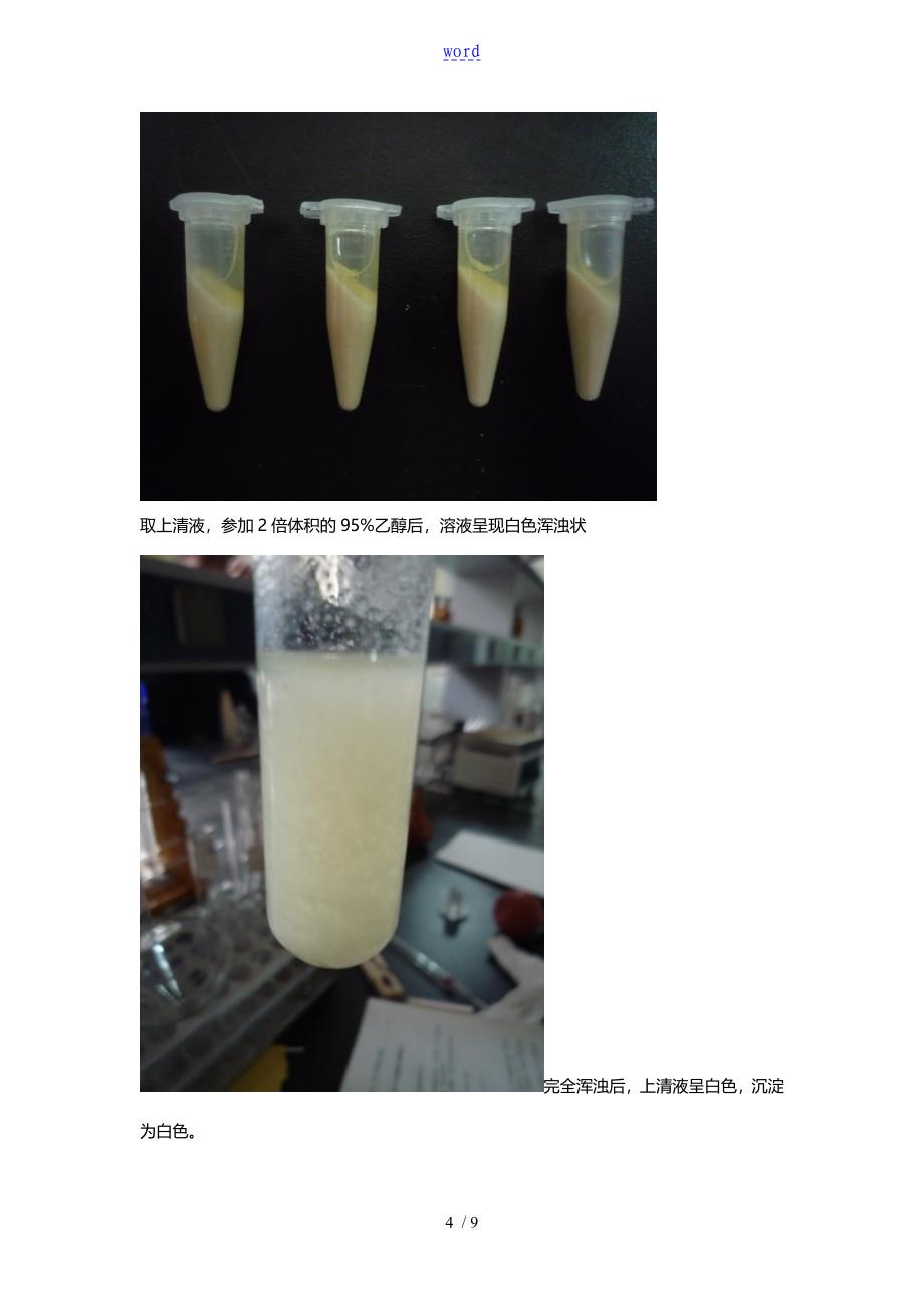 实验七酵母RNA地提取及鉴定_第4页