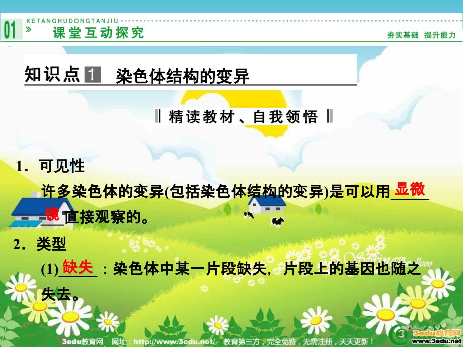 染色体变异及其应用课件.ppt_第4页