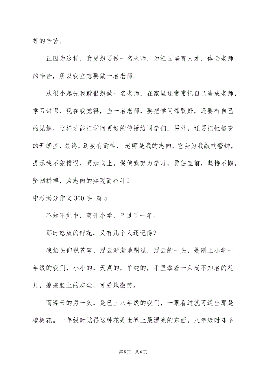 中考满分作文300字合集五篇_第5页