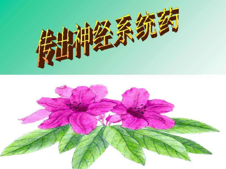 传出神经系统药PPT课件_第1页