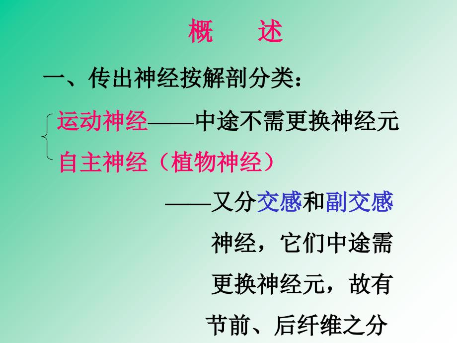 传出神经系统药PPT课件_第3页