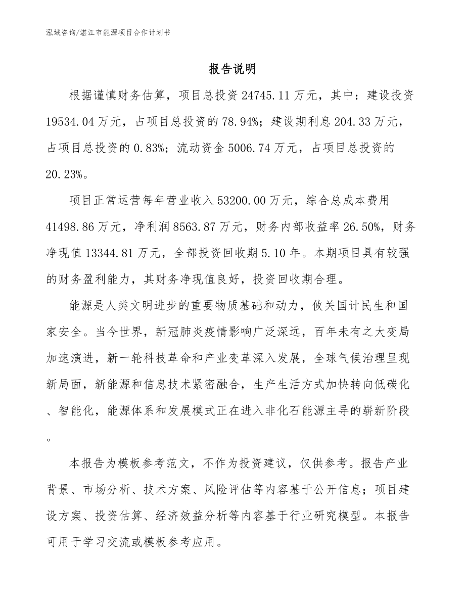 湛江市能源项目合作计划书_范文参考_第2页