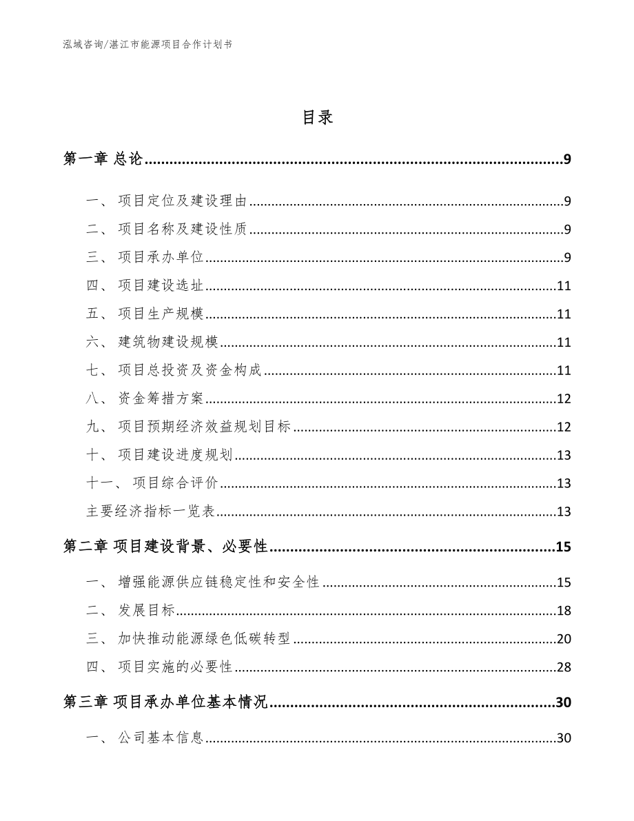 湛江市能源项目合作计划书_范文参考_第3页