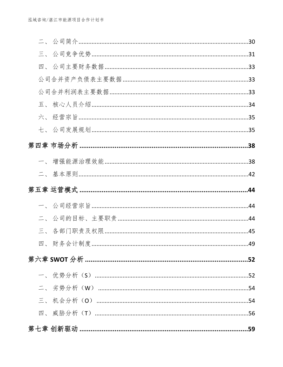 湛江市能源项目合作计划书_范文参考_第4页