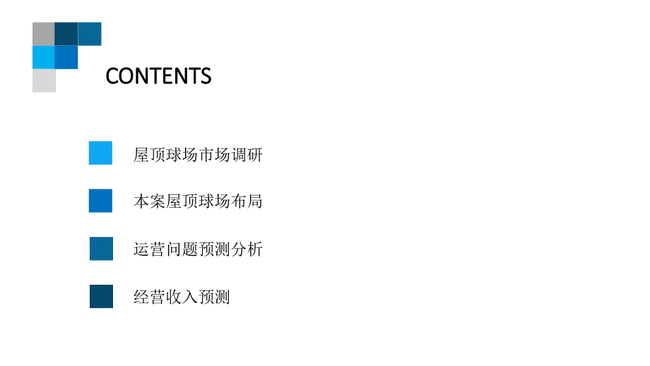 屋顶球场策划方案.PPT_第2页