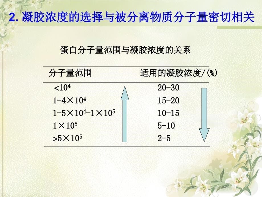 实验八聚炳烯凝胶电泳课件_第5页