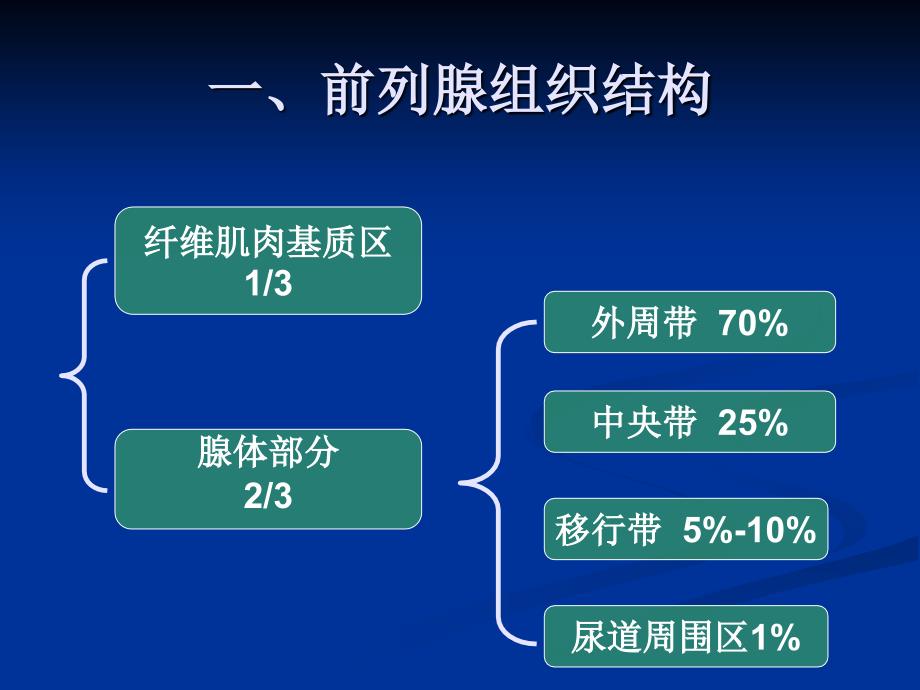 前列腺癌的诊断与治疗ppt课件_第3页