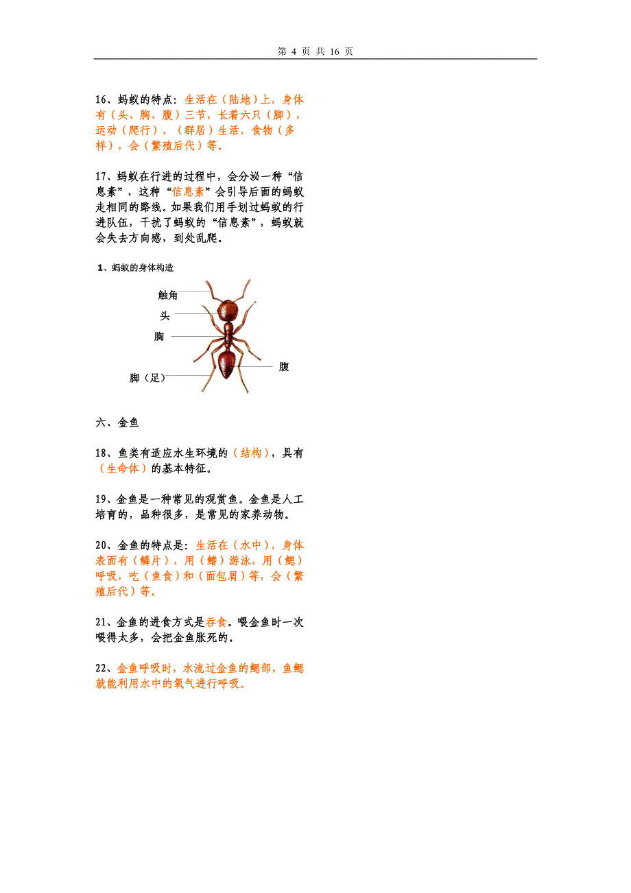 新教科版小学三年级科学上册复习要点_第4页