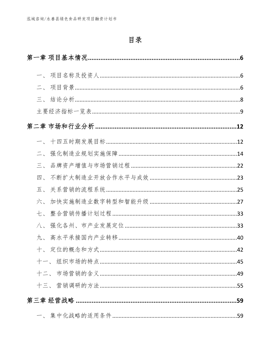 永善县绿色食品研发项目融资计划书_第1页