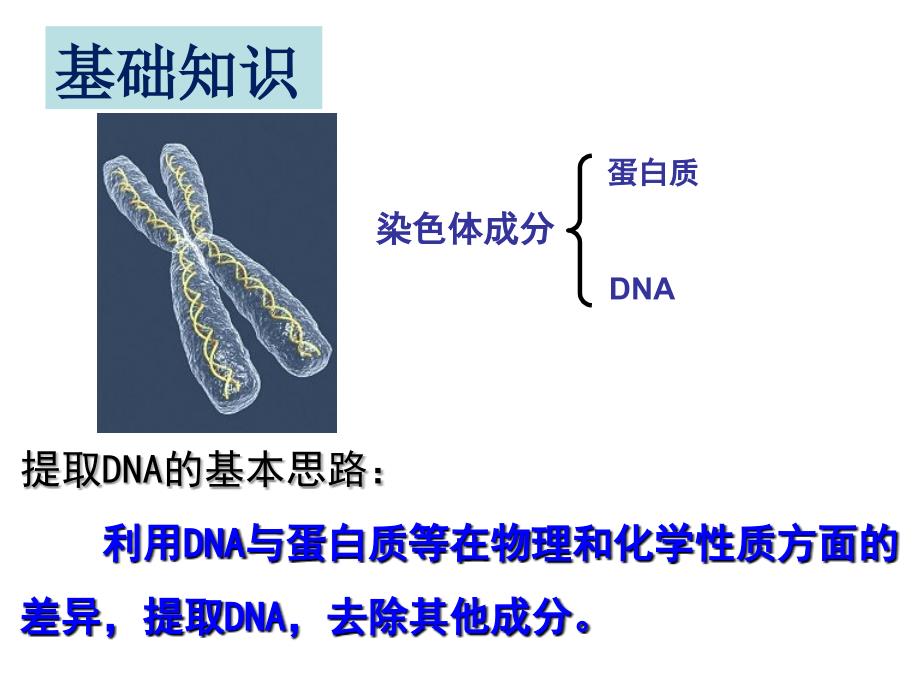 DNA的粗提取和鉴定_第2页