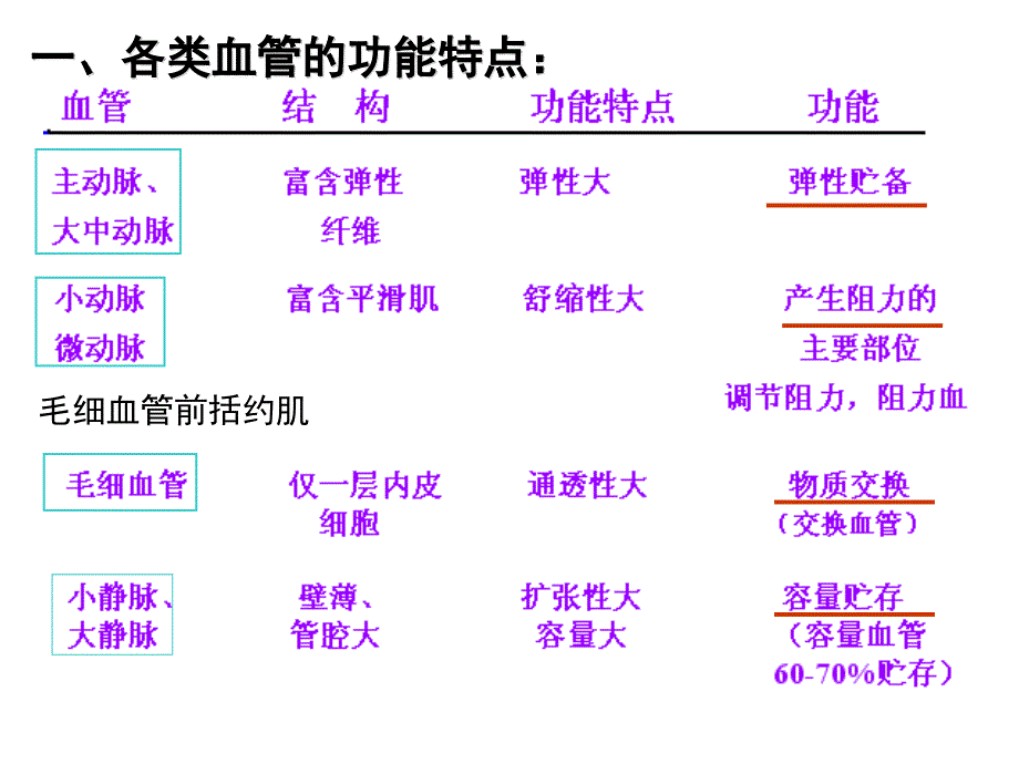 第4章第3节血管生理名师编辑PPT课件_第2页