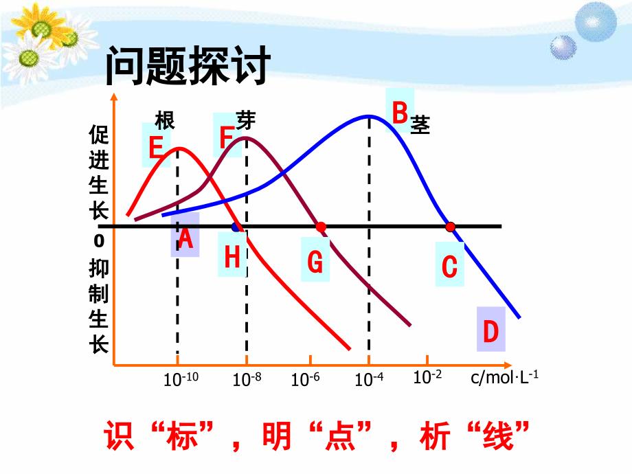 32生长素的生理作用_第2页