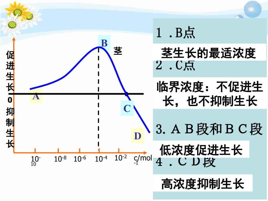 32生长素的生理作用_第3页