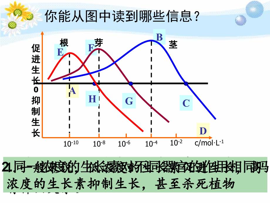 32生长素的生理作用_第4页