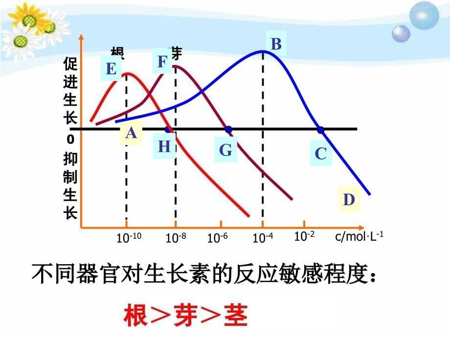 32生长素的生理作用_第5页