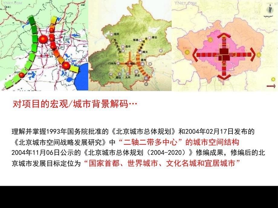 精品--伟业顾问北京市沿海赛洛城项目营销策划商业地产策划_第5页