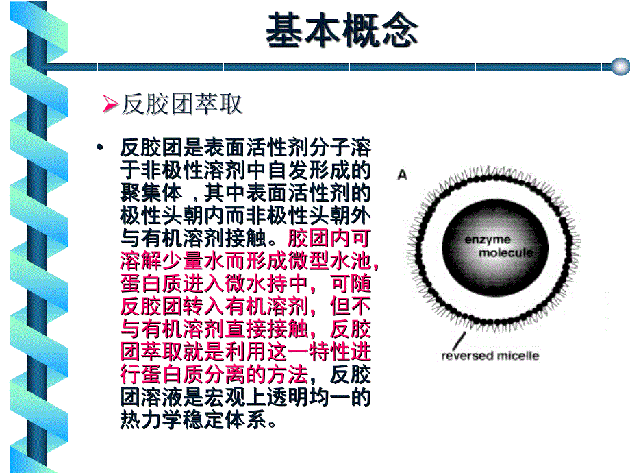 生物工程下游技术第8章反胶团萃取ppt课件_第4页