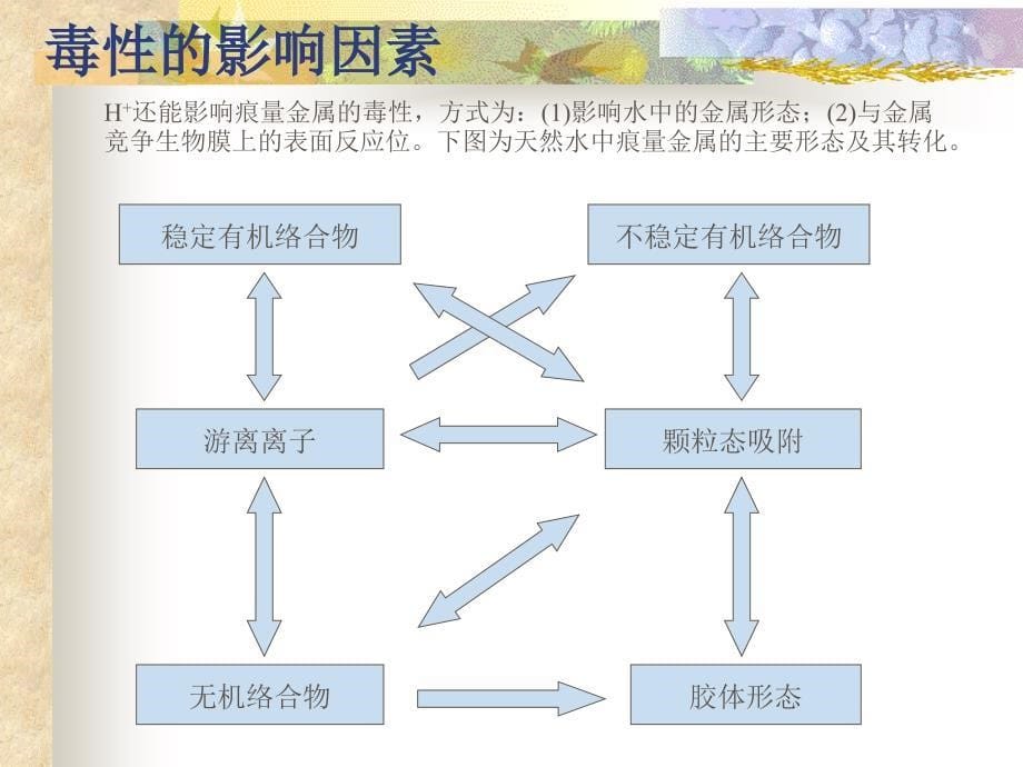 生态毒理学研究方法_第5页