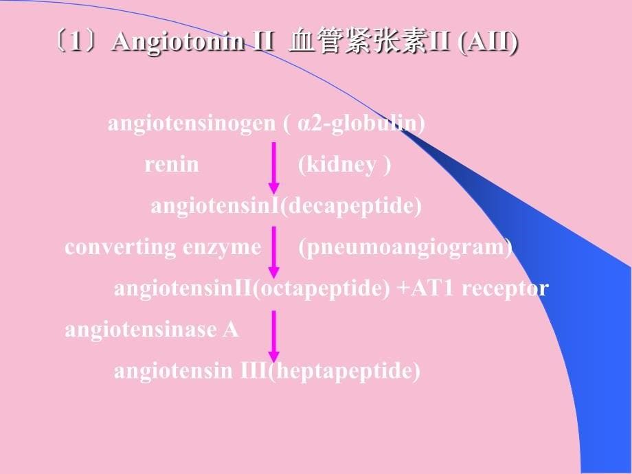 心血管活动的体液调节ppt课件_第5页