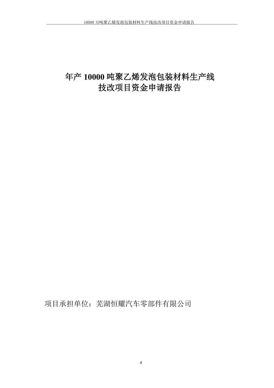 年产10000吨聚乙烯发泡包装材料生产线资金申请报告（优秀甲级报告）_第1页