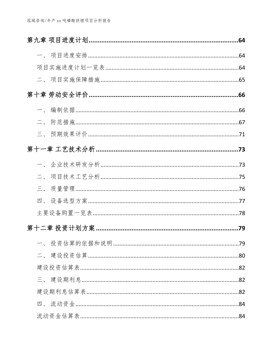 年产xx吨磷酸铁锂项目分析报告参考范文_第3页