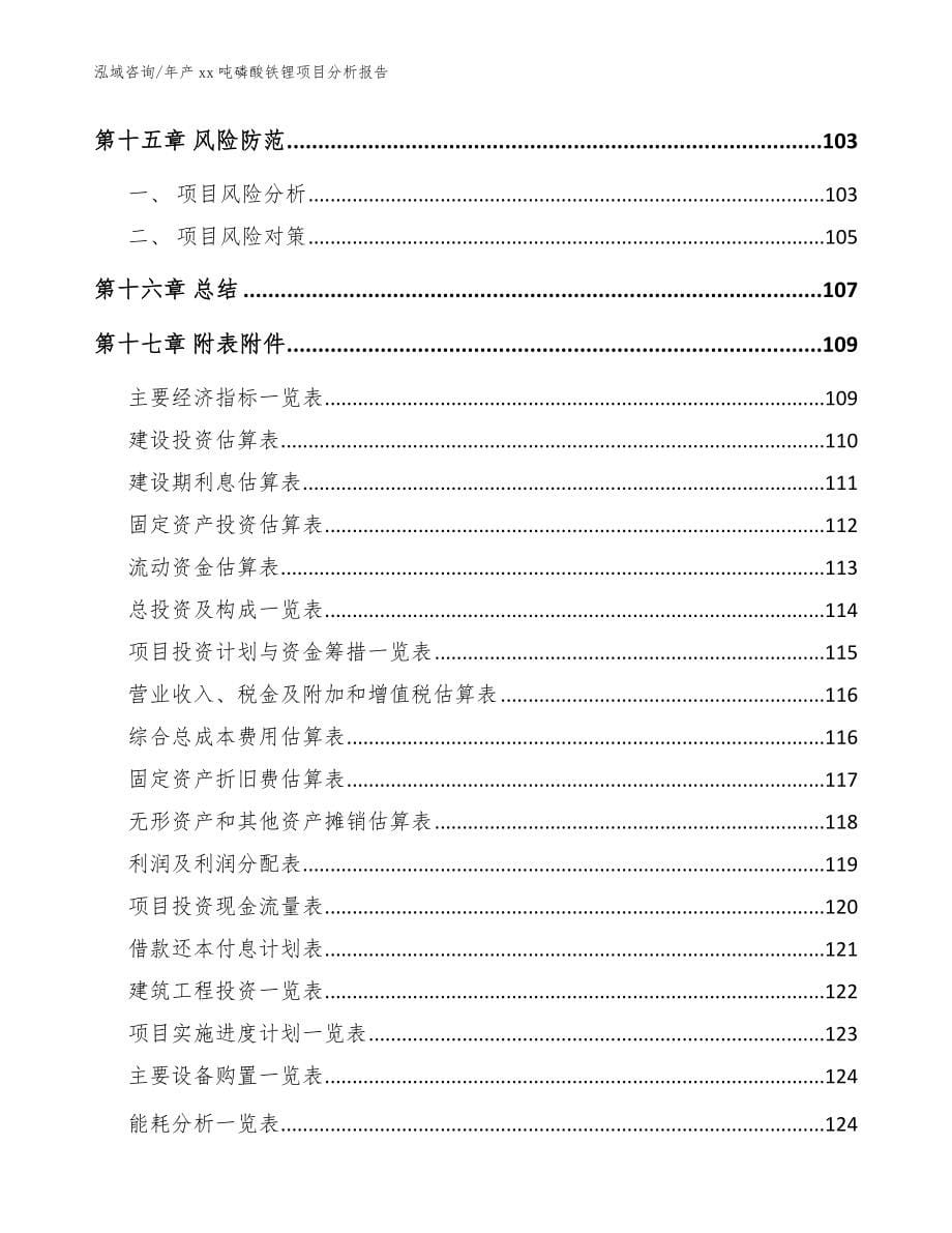 年产xx吨磷酸铁锂项目分析报告参考范文_第5页