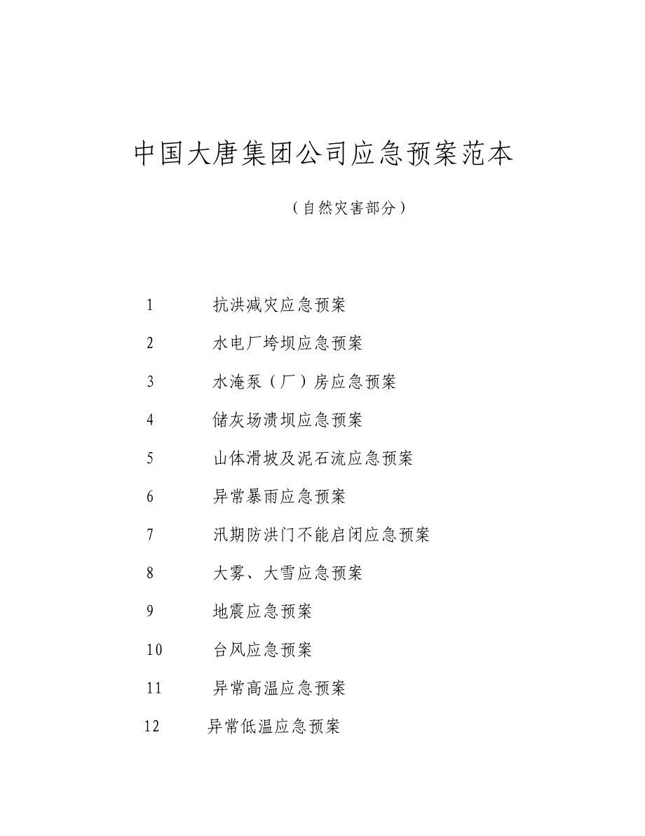 中国大唐集团公司应急预案范本模板_第1页
