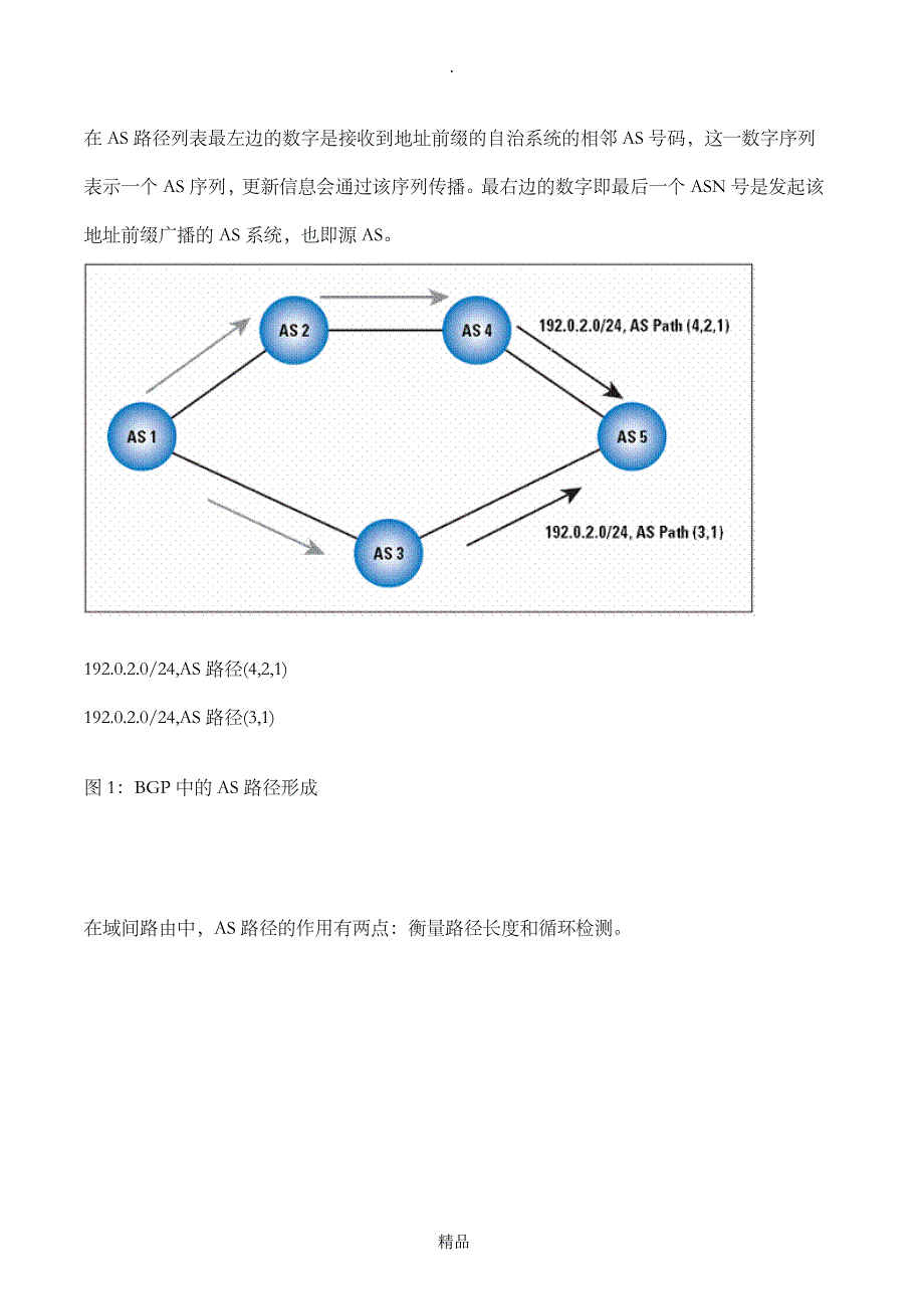 自治系统号ASN探讨_第4页