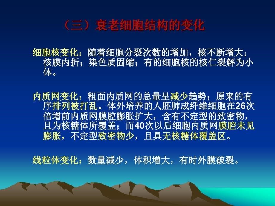 细胞生物学课件：专题九、衰老_第5页