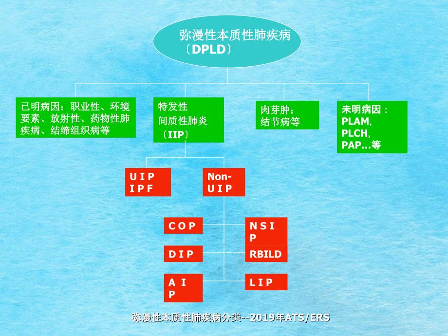 弥漫性肺疾病的HRCT诊断ppt课件_第3页