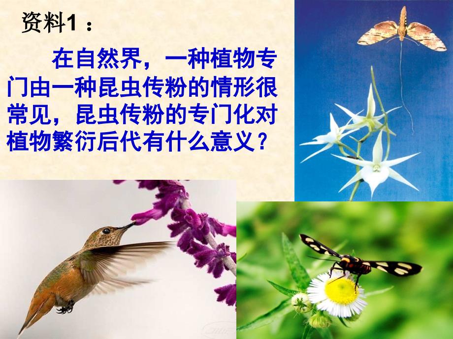 共同进化与生物多样性的形成教学课件_第2页