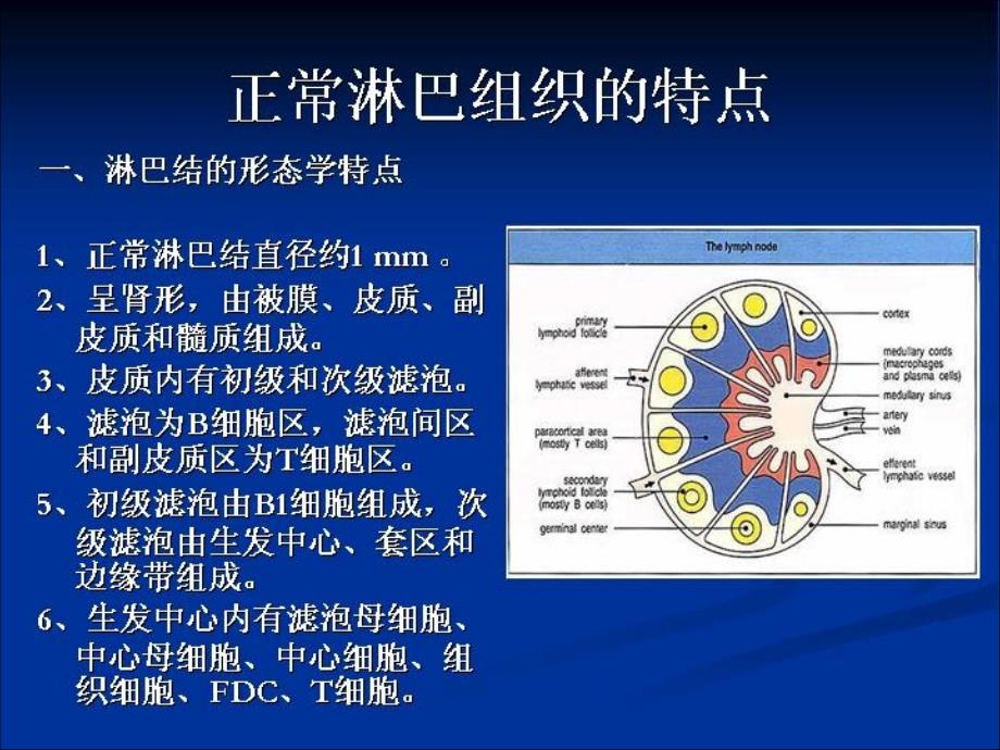 淋巴瘤ppt课件_第2页