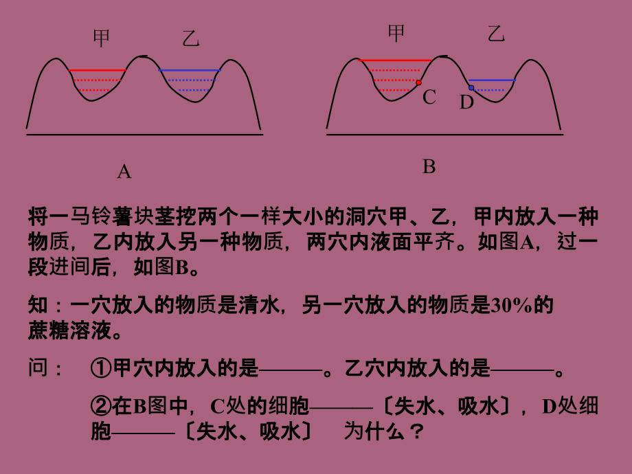 植物对水分吸收和利用ppt课件_第2页