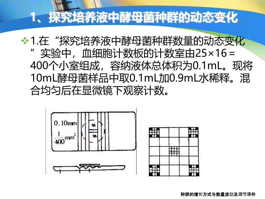 种群的增长方式与数量波动及调节课件_第3页