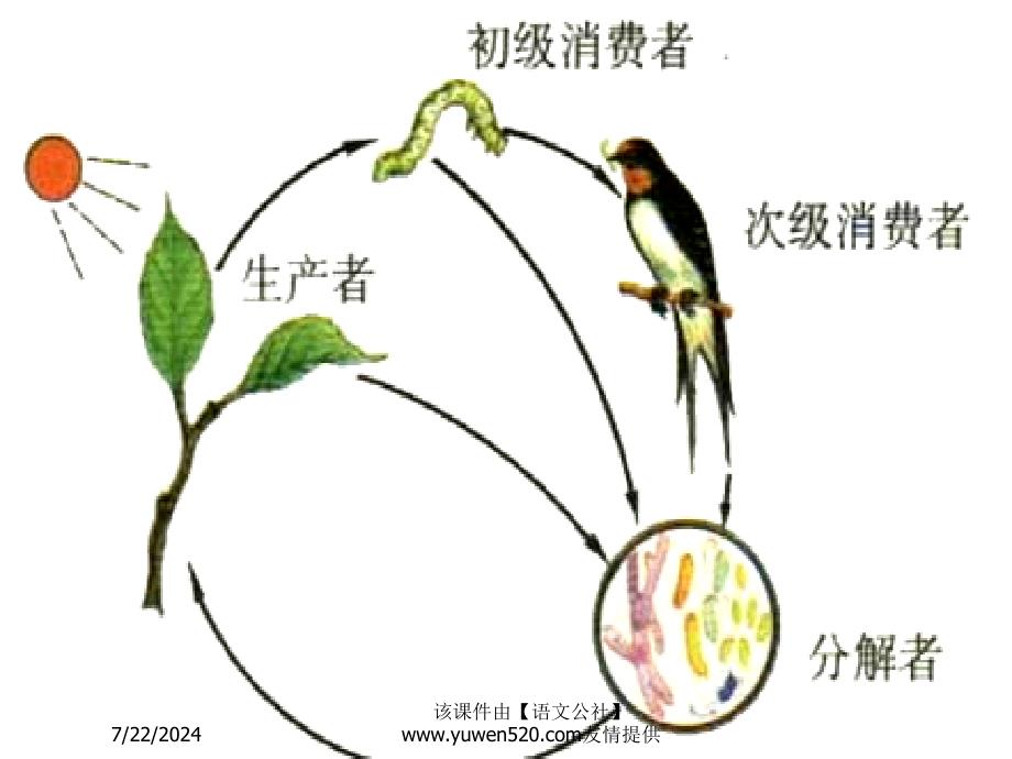 生态系统的类型_第4页