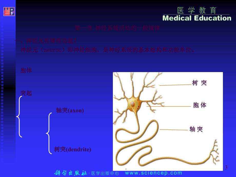 06134神经系统生理学ppt课件_第3页