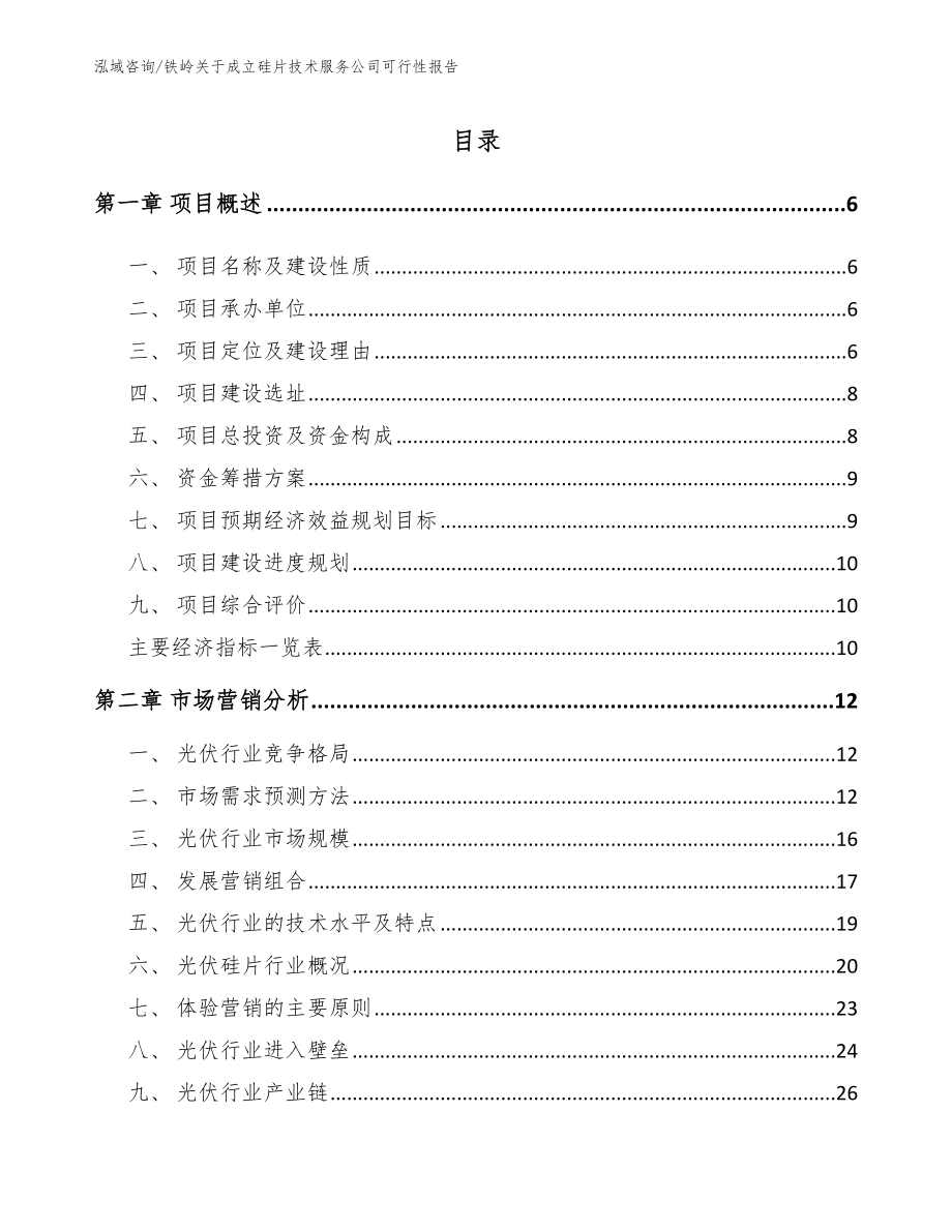 铁岭关于成立硅片技术服务公司可行性报告_参考模板_第1页