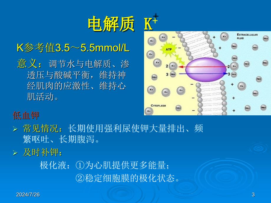 心内科常见检查及其意义课件_第3页