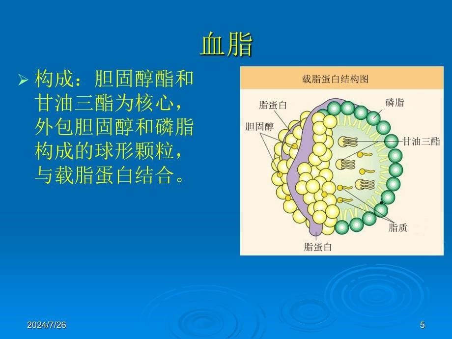 心内科常见检查及其意义课件_第5页