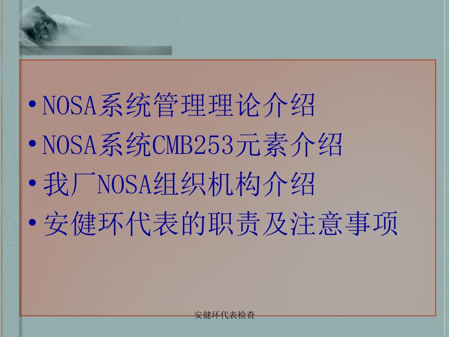 安健环代表检查课件_第2页