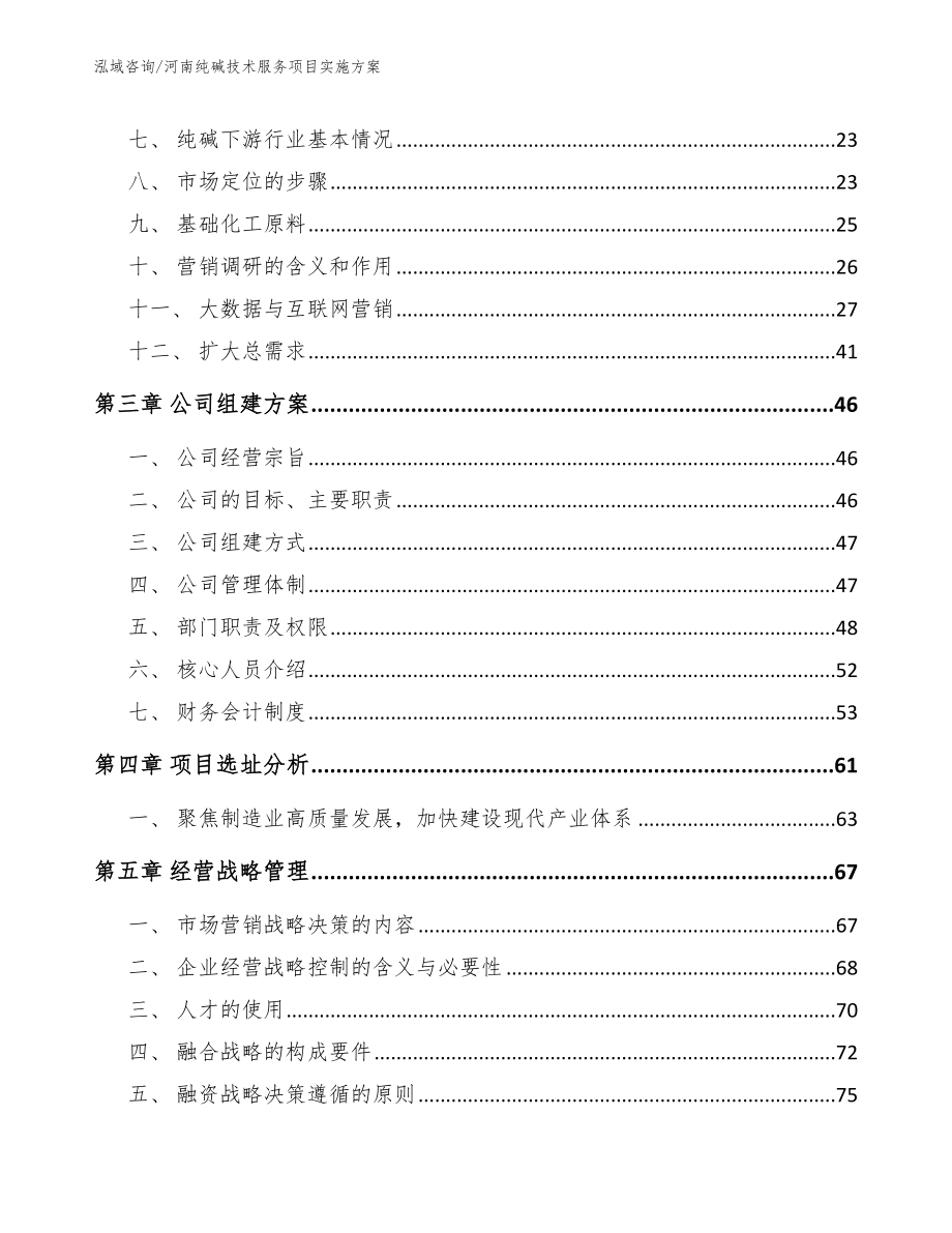 河南纯碱技术服务项目实施方案（范文参考）_第4页