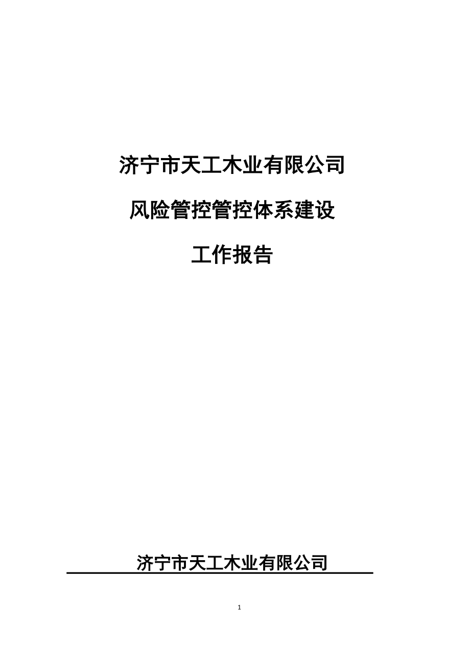 某木业有限公司风险管控管控体系建设工作报告_第1页