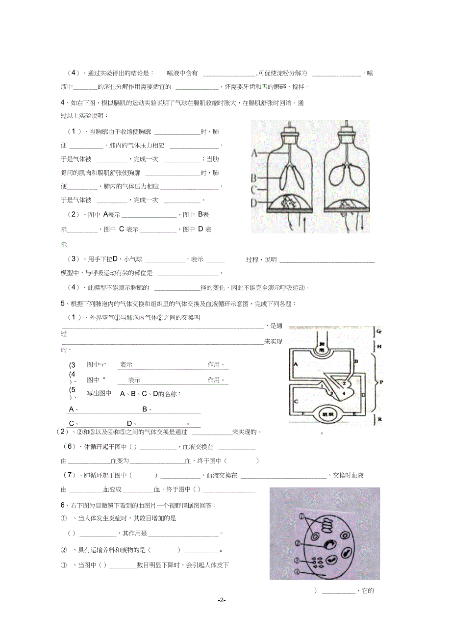 人教版七年级下册生物识图专题复习_第2页