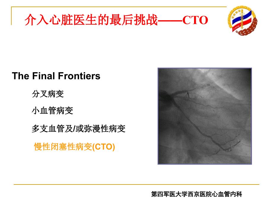 CTO病变介入治疗技巧.ppt_第2页