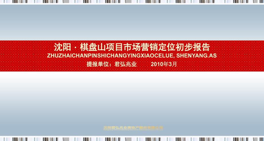 沈阳棋盘山项目市场营销定位初步报告 98页_第2页